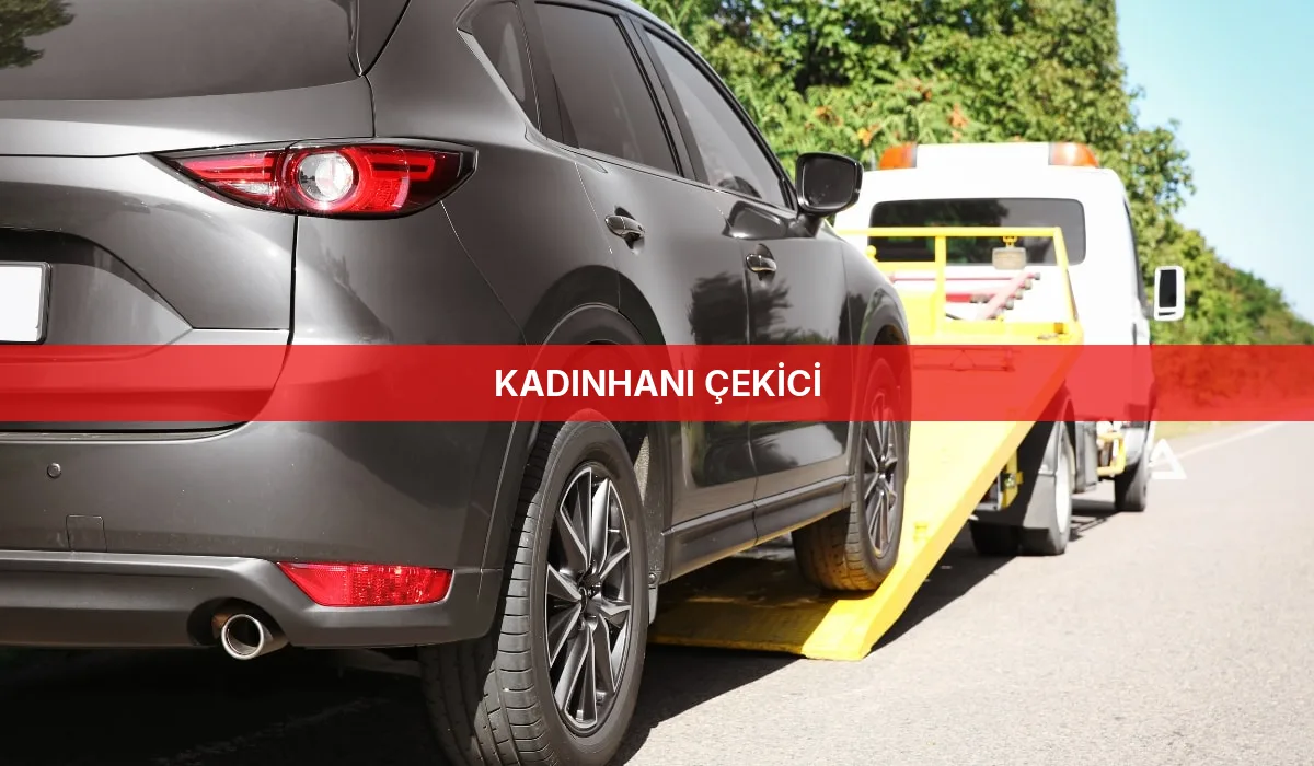 Kadınhanı Çekici